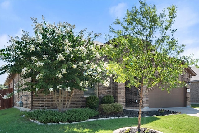 view of property hidden behind natural elements featuring a front yard and a garage