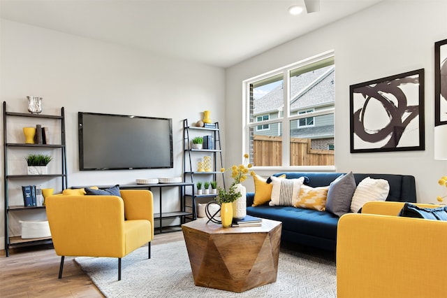 living room featuring light wood-type flooring