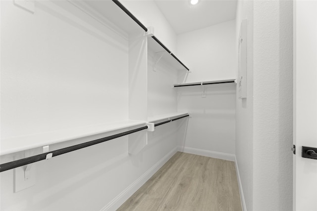 spacious closet featuring light hardwood / wood-style flooring