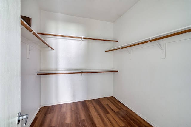 walk in closet featuring dark hardwood / wood-style floors