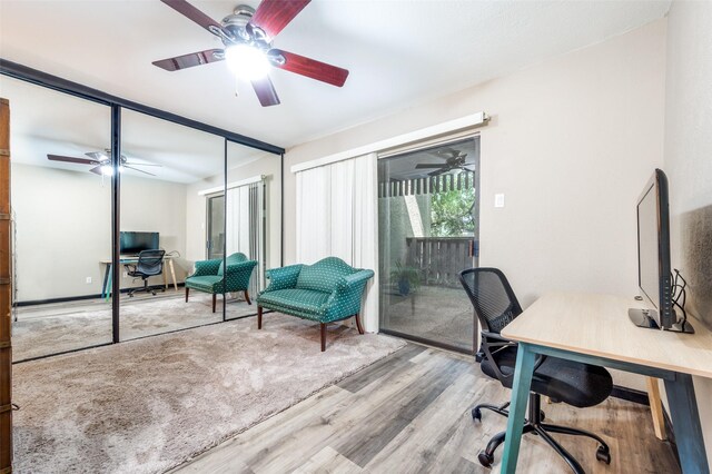 home office featuring light hardwood / wood-style flooring and ceiling fan