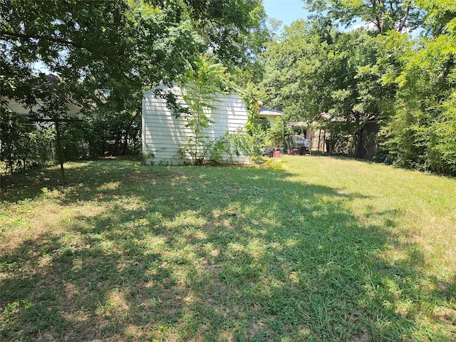 view of yard featuring a storage shed