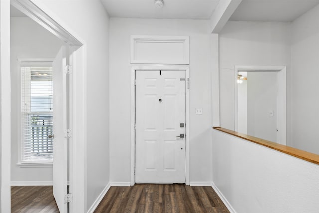 foyer featuring dark hardwood / wood-style floors and a wealth of natural light