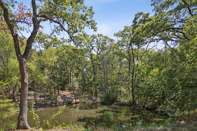 view of nature featuring a water view