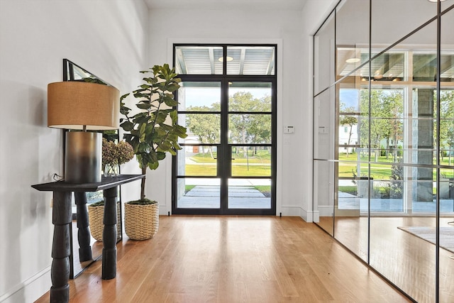 doorway featuring wood-type flooring and a wealth of natural light