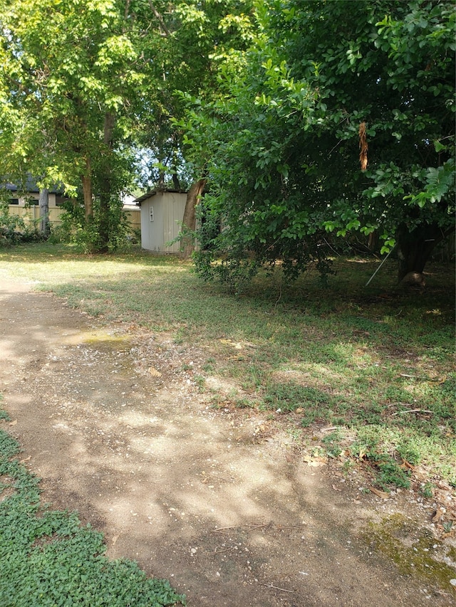 view of yard with a storage unit