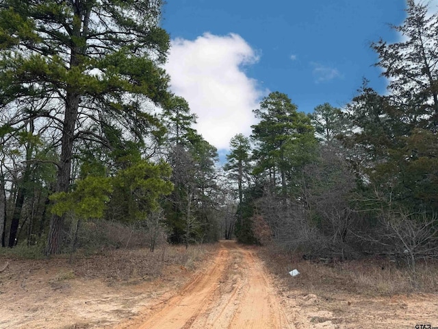 TBD King Bruce Rd, Scroggins TX, 75480 land for sale