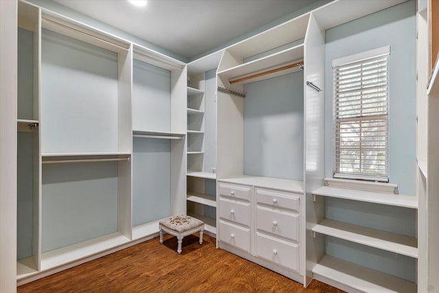 walk in closet with wood finished floors