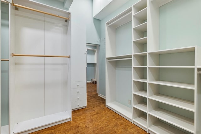 spacious closet with wood finished floors