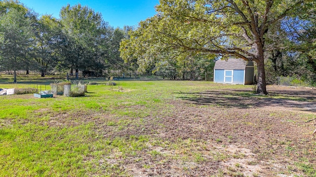 view of yard with a shed