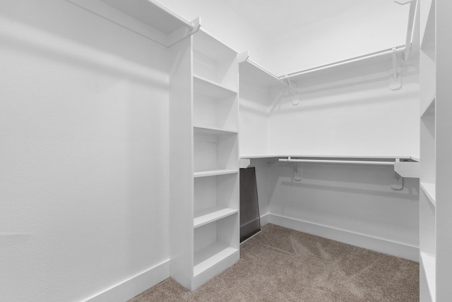 spacious closet featuring carpet floors