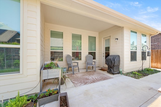 view of yard featuring a patio area