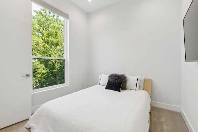 bedroom with multiple windows and light colored carpet