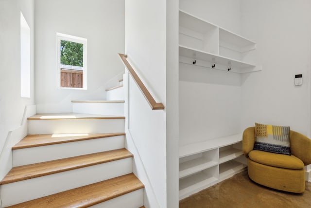 staircase with carpet floors