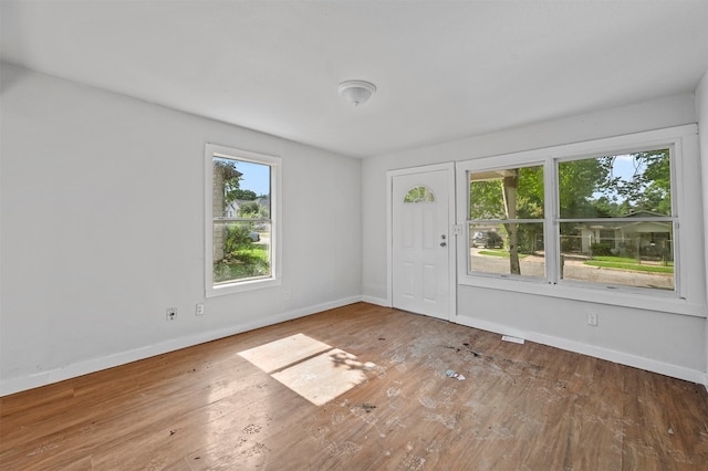 empty room featuring hardwood / wood-style floors and a wealth of natural light