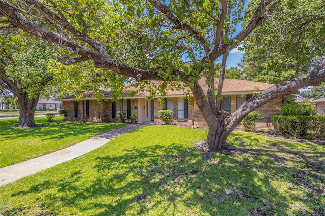 ranch-style house with a front lawn