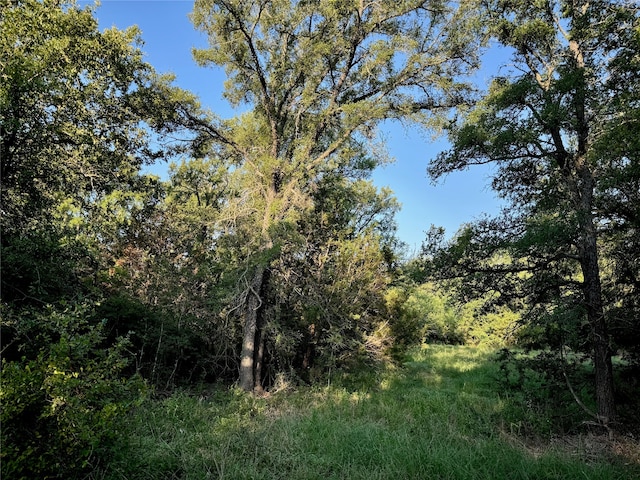 11110 County Road 1117, Cleburne TX, 76033 land for sale