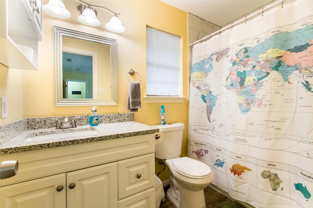 bathroom with toilet and vanity