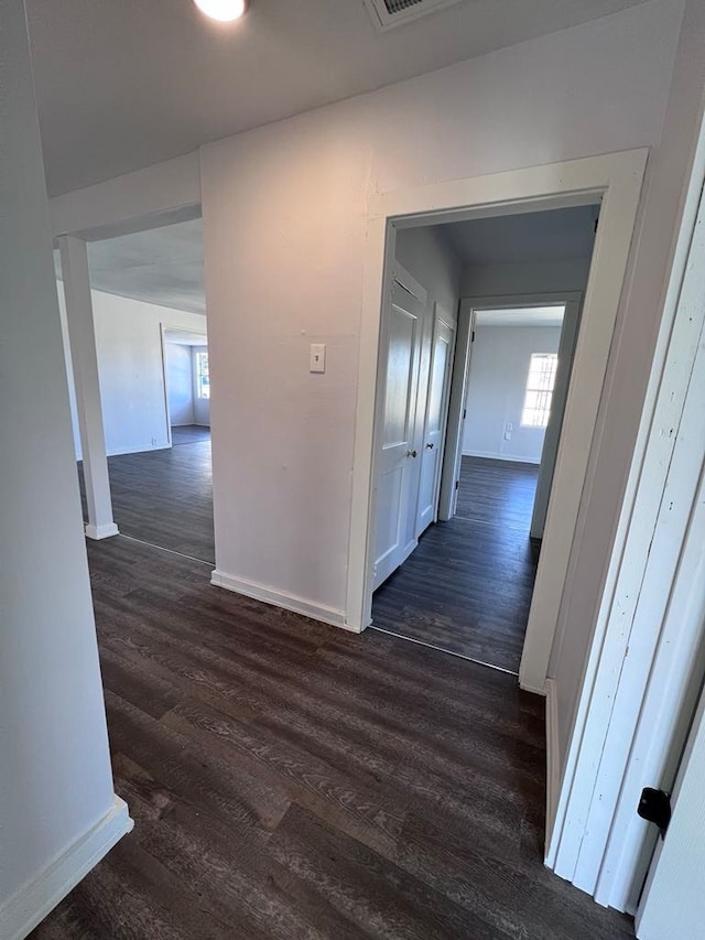 corridor with dark hardwood / wood-style flooring