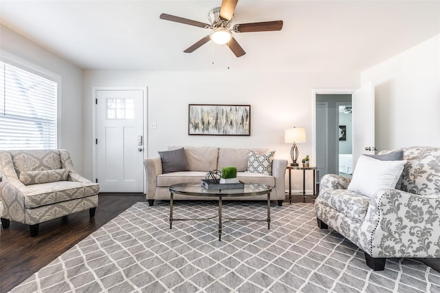 living room featuring ceiling fan and wood-type flooring