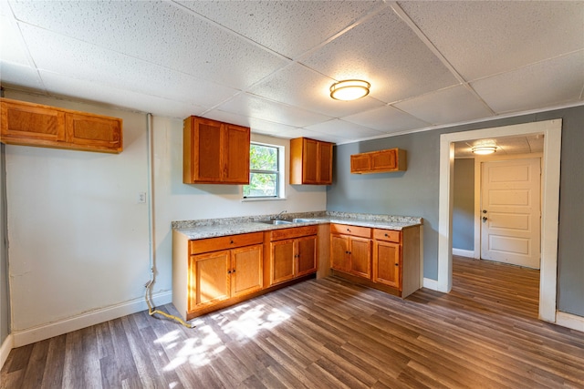 kitchen with a paneled ceiling, dark wood-type flooring, and sink