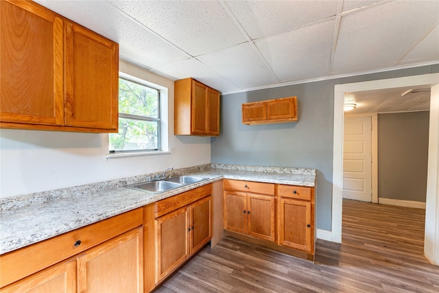 kitchen with a paneled ceiling, dark wood-type flooring, and sink