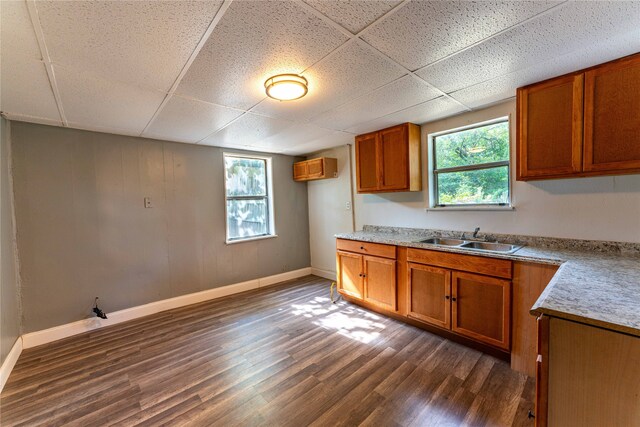 kitchen with a paneled ceiling, dark wood-type flooring, and sink