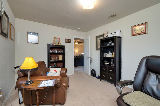 office space featuring light carpet and a textured ceiling