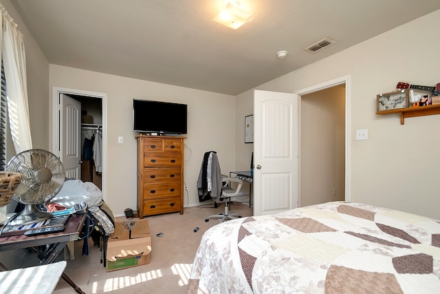 carpeted bedroom with a spacious closet and a closet