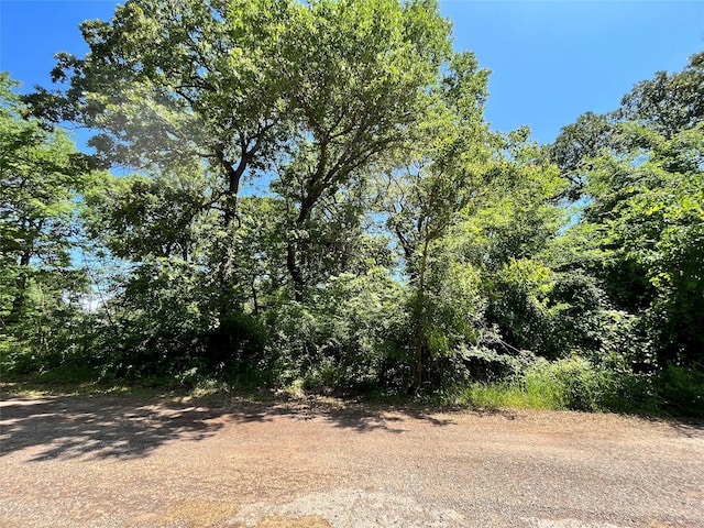 0 Hidalgo Loop, Payne Springs TX, 75156 land for sale