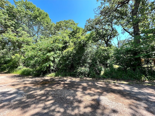 Listing photo 2 for 0 Hidalgo Loop, Payne Springs TX 75156