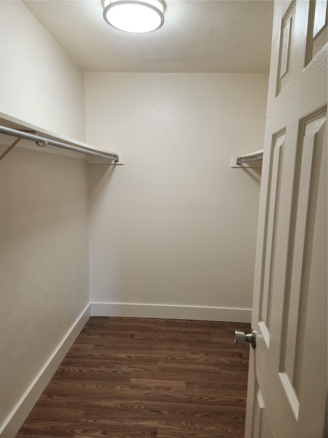 spacious closet with wood-type flooring