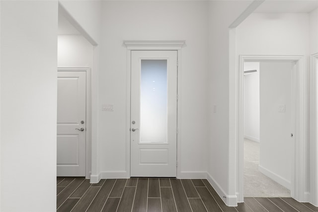 foyer entrance with dark hardwood / wood-style floors