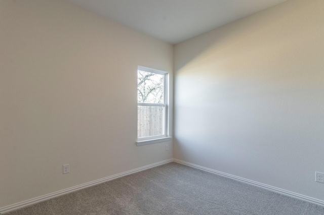 spare room with carpet flooring