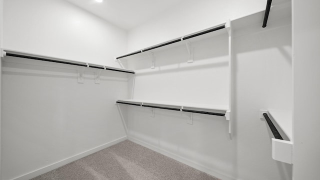 spacious closet with carpet flooring