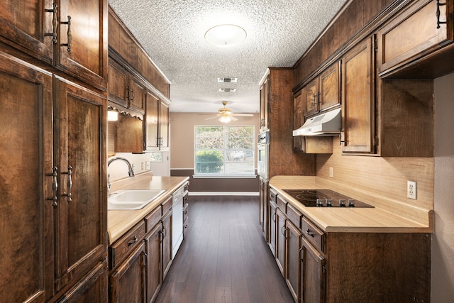 kitchen with black electric stovetop, sink, dark brown cabinets, and dark hardwood / wood-style flooring