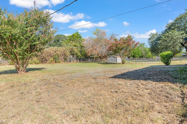 view of yard with a storage shed