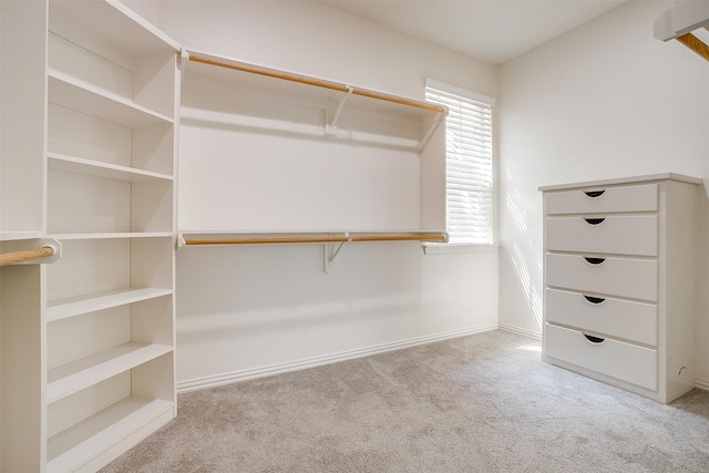 spacious closet with light colored carpet