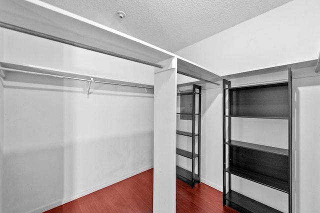 spacious closet featuring dark hardwood / wood-style flooring