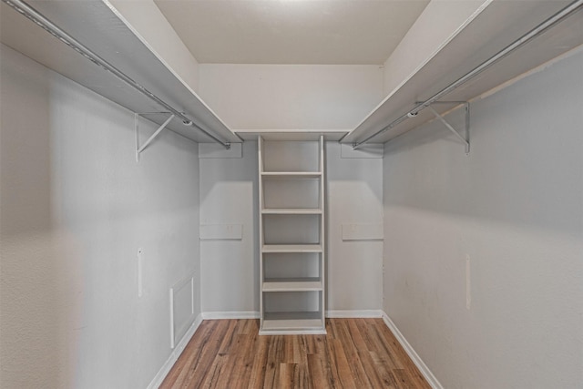 walk in closet with hardwood / wood-style flooring