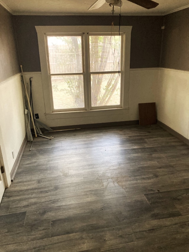 spare room with ceiling fan, a wealth of natural light, and hardwood / wood-style flooring