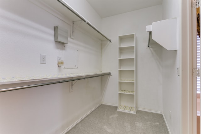 spacious closet with light carpet