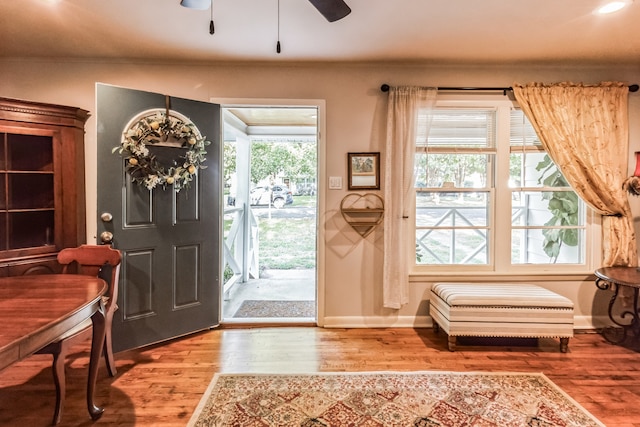 foyer with hardwood / wood-style flooring, a healthy amount of sunlight, and ceiling fan