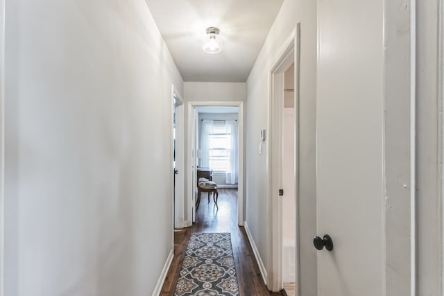 hall with dark wood-type flooring