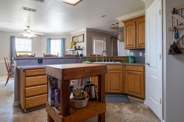 kitchen with ceiling fan, sink, ornamental molding, and an island with sink