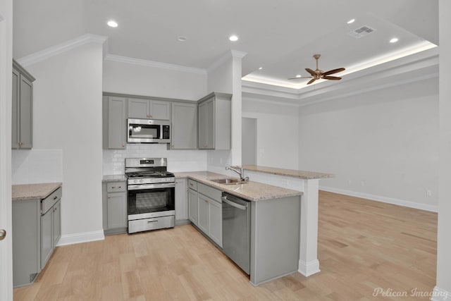 kitchen featuring appliances with stainless steel finishes, a tray ceiling, light hardwood / wood-style floors, and ceiling fan