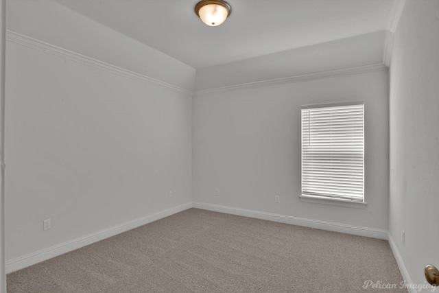 carpeted spare room featuring ornamental molding