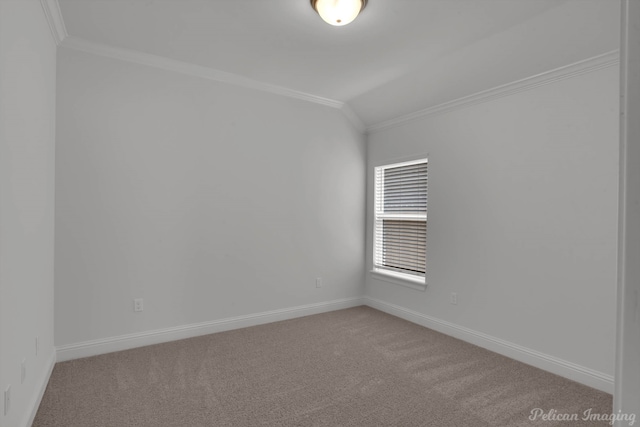 carpeted empty room featuring ornamental molding