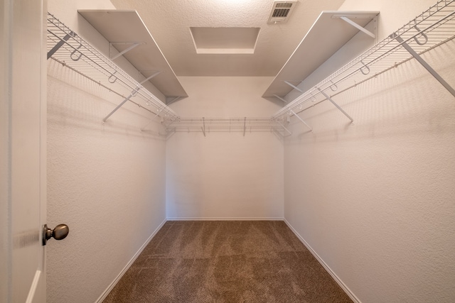 walk in closet with carpet flooring