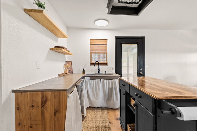 kitchen featuring light wood-type flooring and sink